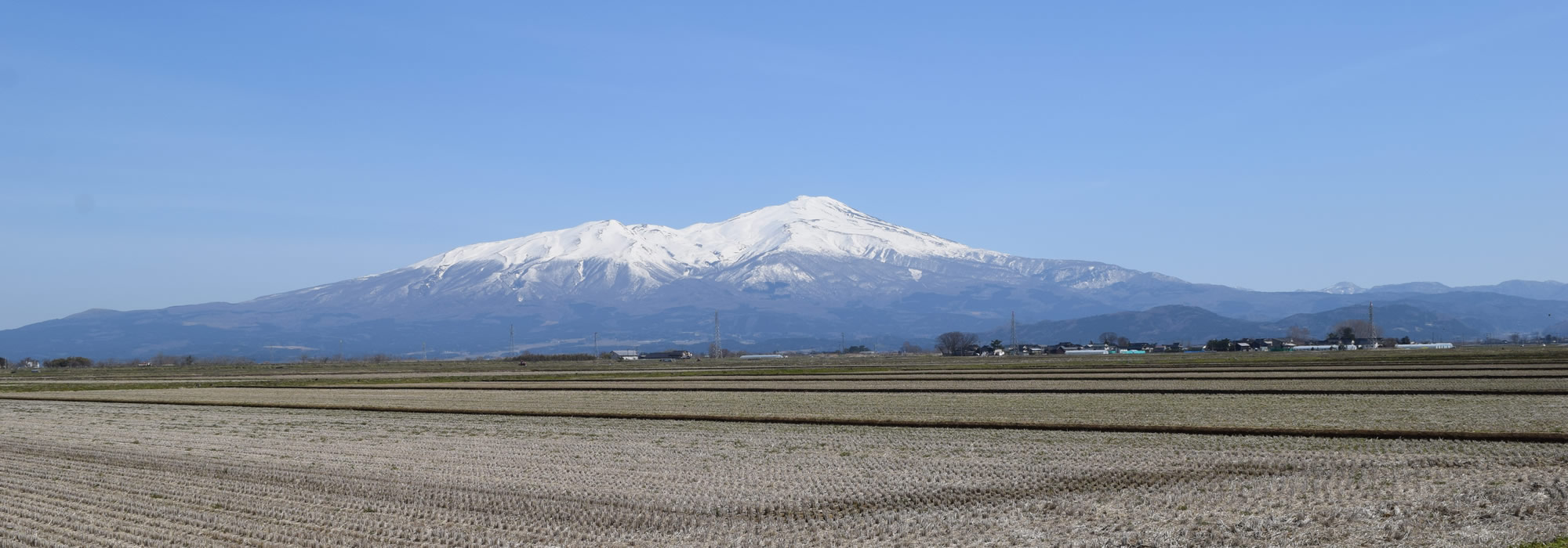 シンプルでカスタマイズしやすいWordPress.org登録テーマ